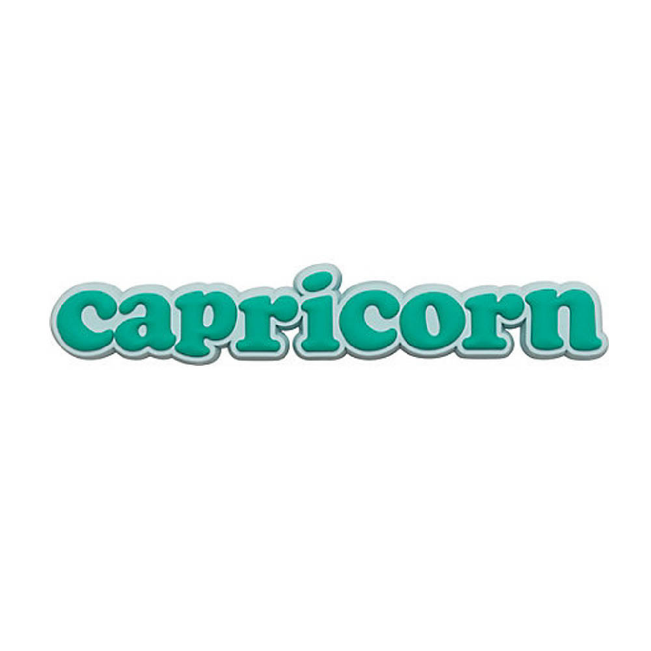 Capricorn Zodiac Charm