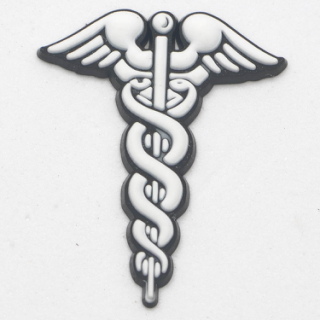 Caduceus Medical Charm