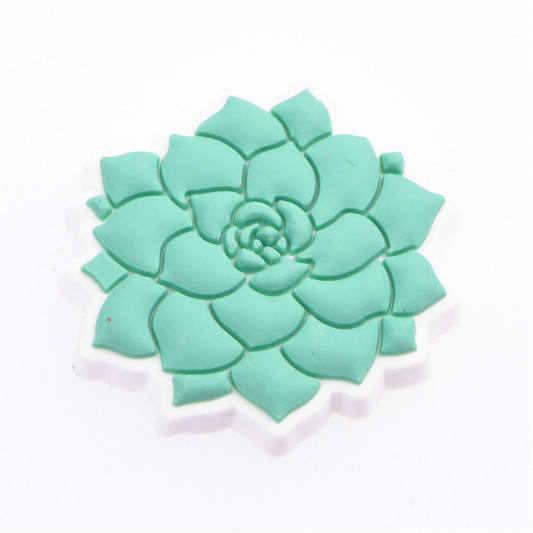 Cute Succulent Plant Charm