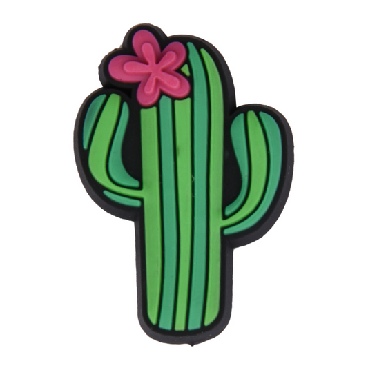 Cactus Charm