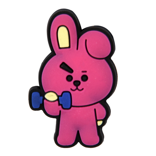 BTS Cooky Charm